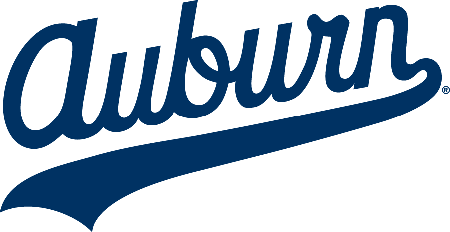 Auburn Tigers 1985-1994 Wordmark Logo t shirts iron on transfers